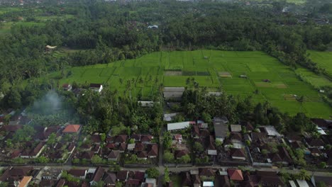 Ubud,-Bali-Paisaje---Vista-Aérea-De-Drones