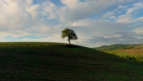 Aerial-of-a-lone-tree-in-the-middle-of-a-ploughed-field-in-Tuscany-in-low-light,-Province-of-Siena,-Italy