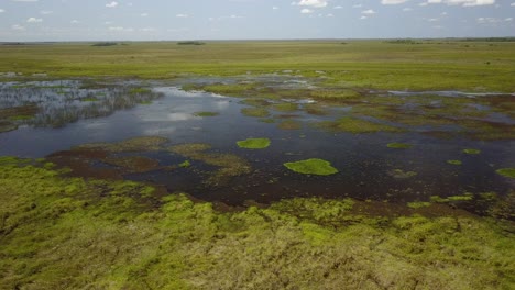 Feuchtgebiete-Im-Nordosten-Argentiniens,-Fotografiert-Mit-Drohne