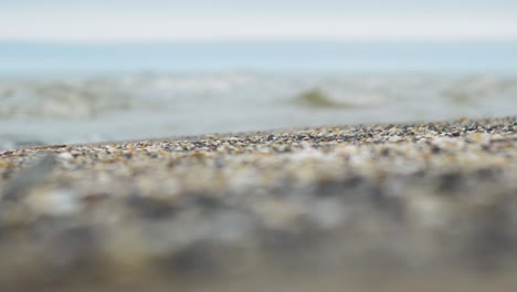 Seashells-on-the-white-sand-beach-in-summer,-calm-waves,-Baltic-sea-coastline,-summer-vacation,-relaxation,-ocean,-travel-concept,-low-medium-shot,-shallow-depth-of-field