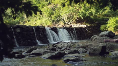 Waterfalls-and-flows-through-dam-rocks-stacked-controlling-creek-water