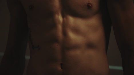 Boxer-Muscular-Body-And-Bare-Torso-Showing-Abs---close-up