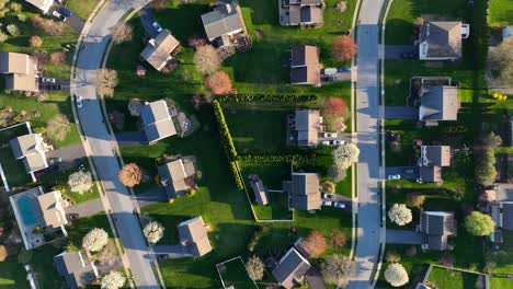 USA-neighborhood-in-spring