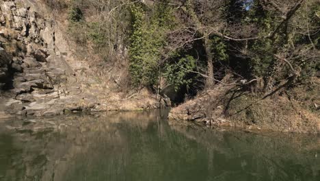 Mittelalterliche-Steinflusslandschaft-Im-Trockenwald-Der-Brücke-Pont-De-La-Cabreta,-Blassgrüne-Herbstlandschaft,-Drohnen-Luftaufnahme-Im-Tiefflug