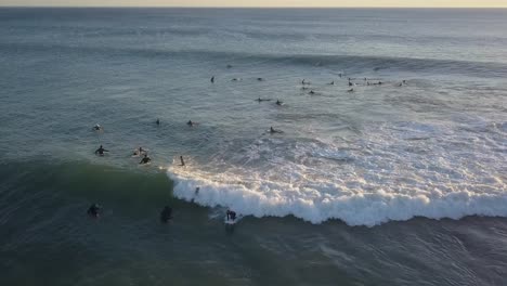 Active-surfers-swimming-in-ocean-trying-to-catch-wave,-surfing-in-summer-during-sunset