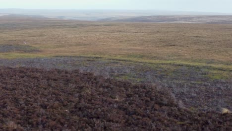 Sprawling-Landscape-Drone-Shot-of-Moorland-and-Path-with-Tyre-Tracks-on-Exmoor-UK