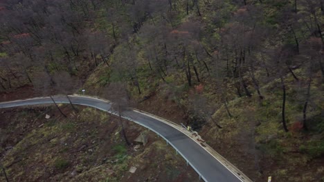 Mountain-road-blocked-by-fallen-tree-on-moody-dark-day,-aerial-view
