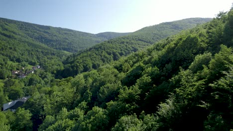 Bird-Eye-View-of-Huge-Wild-Forest-in-Mountains-Scenery-with-Small-Buildings