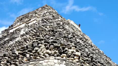 Turkey-vulture-resting-atop-the-pyramid-of-Temple-1-at-Chacchoben,-Mayan-archeological-site,-Quintana-Roo,-Mexico