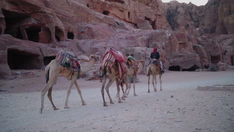 Camels-Rest-In-Front-Of-The-Treasury-Or-Al-Khazneh,-Petra,-Jordan