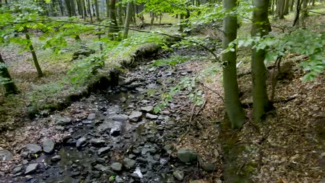 Small-amount-of-water-runs-through-rocky-creek-in-forest-near-Pilis,-Hungary