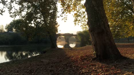 Herbstpark-Mit-Blättern-Und-Brücke