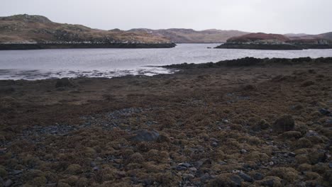 Shot-of-a-sea-loch-at-low-tide