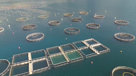 Cinematic-Aerial-Footage-Above-Sustainable-Farm-Fishery-in-Deep-Waters