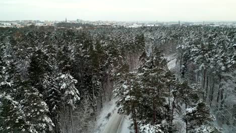Snowy-road-in-a-winter-forest-from-a-bird's-eye-view