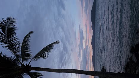 Vista-Vertical-De-La-Palmera-Y-La-Idílica-Playa-Durante-El-Atardecer-En-Kota-Kinabalu,-Malasia