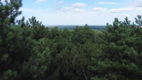 Aerial-shot-of-a-forest-at-France