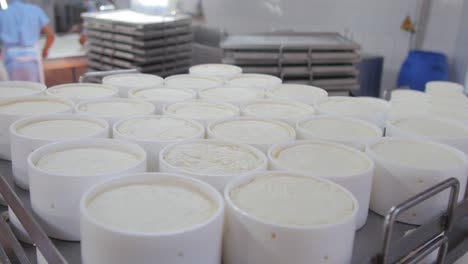 Frozen-cheese-in-containers-neatly-arranged-on-the-table-in-the-Cheese-Factory