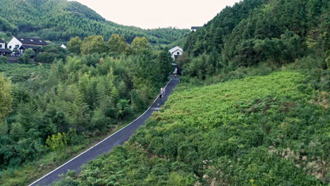 Aerial-Shot-of-People-Walking-Driving-Down-Empty-Road-in-Bamboo-Forest