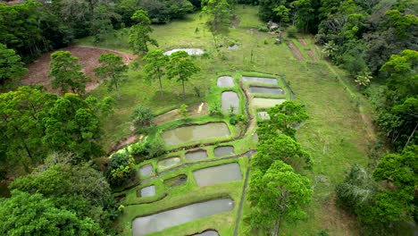 Fish-farming-pools-in-Costa-Rican-Rainforest--aerial-pull-back