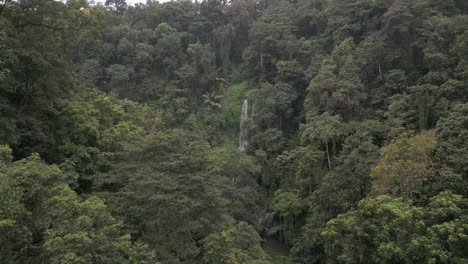 Dense-green-jungle-forest-flight-toward-tall-freefall-Lombok-waterfall
