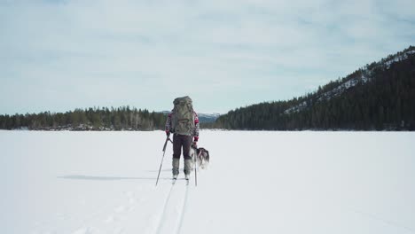 Vista-Panorámica-Del-Hombre-Aventurero-Esquiando-Con-Alaskan-Malamute-En-Snowland-En-Indre-Fosen,-Noruega