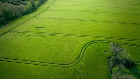 Green-vivid-agriculture-field-in-France,-aerial-drone-view