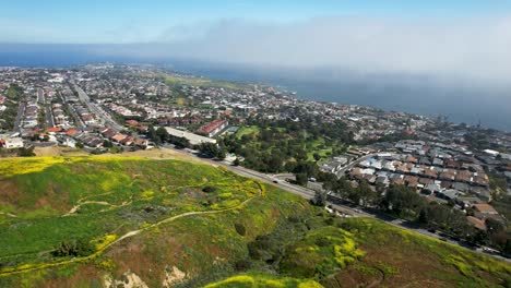 Aerial-fly-over-of-California-Neighborhood-by-the-ocean-with-wildflowers-and-buildings-and-large-cloud-along-the-coast