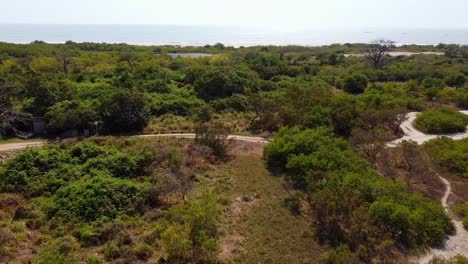 Beautiful-aerial-view-of-a-mangrove-forest-on-the-bank-of-river-Gambia