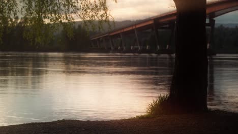 Schatten-Eines-Baumes-Am-Fluss-Mit-Blick-Auf-Eine-Brücke-Bei-Sonnenuntergang