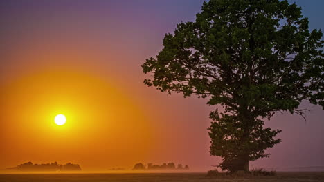 Glühender-Sonnenuntergang-Im-Zeitraffer,-Nebel-Und-Bäume