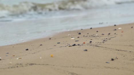 Seashells-on-the-white-sand-beach-in-summer,-calm-waves,-Baltic-sea-coastline,-summer-vacation,-relaxation,-ocean,-travel-concept,-low-medium-shot