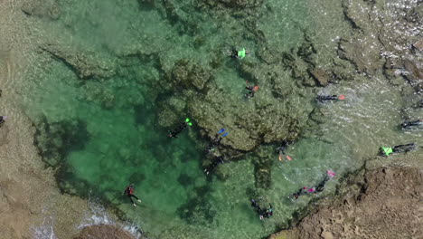 Vertical-aerial:-Tourist-group-snorkels-in-rocky-pools-near-sand-beach