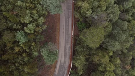 Aerial-top-view-along-country-forest-road