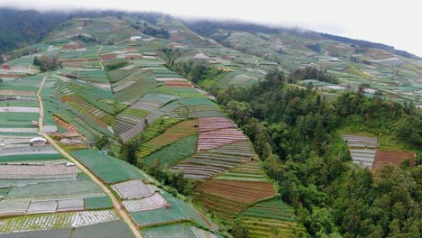 Majestätische-Landschaft-Aus-Tälern-Und-Landwirtschaftlichen-Feldern-In-Indonesien,-Luftaufnahme