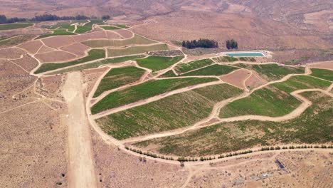 Orbiting-Aerial-Over-Fray-Jorge,-Limari-Valley-With-Vineyards-Near-Ocean-In-Chile