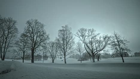 Misty-Landscape-With-Leafless-Trees-From-Night-To-Dawn-In-Winter