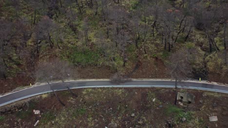 Fallen-tree-blocking-mountain-road,-aerial-drone-view