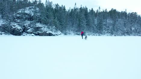 Flying-Through-Winter-Landscape-With-Man-And-Active-Dog-Running-In-Frozen-Lake