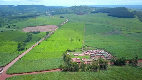 Exuberante-Granja-De-Té-Verde-Cerca-Del-Pueblo-En-Uganda-Durante-El-Día
