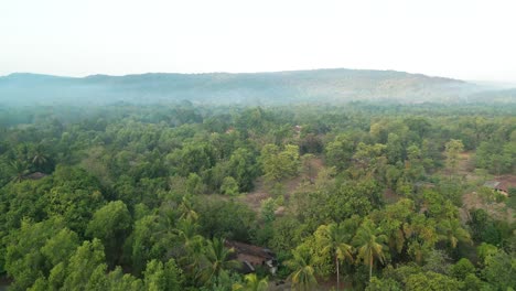 greenery-village-bird-eye-view-drone-moving-front-malvan