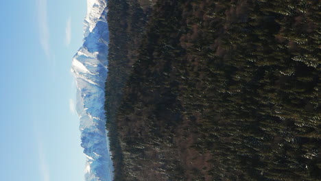 Aerial-pull-out-over-evergreen-forest,-Bucegi-Mountains-in-distance