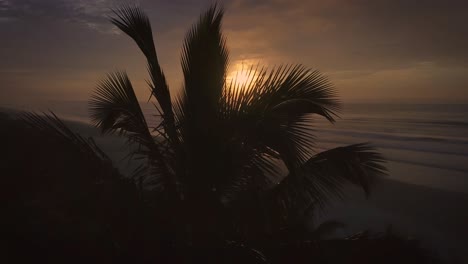Atemberaubende-4K-Luftaufnahme-Von-Palmen-Und-Strand-Bei-Sonnenaufgang,-Orangefarbene-Sonne-Und-Meer,-Brasilien
