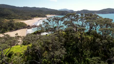 Drone-reveal-golden-sand-beaches-and-bays-in-tropical-Northland-coastal-landscape-of-New-Zealand