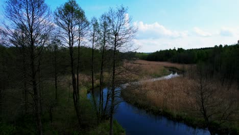 Wilder-Fluss-Hańcza-In-Polen,-Europa