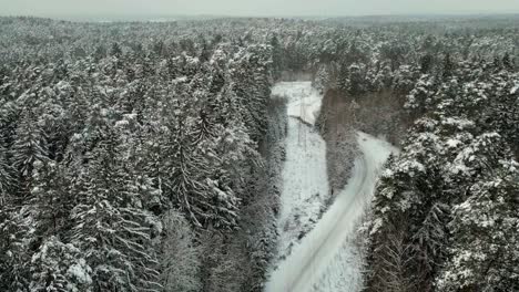 Verschneite-Straße-In-Einem-Winterwald