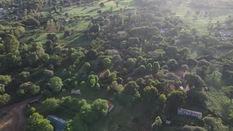 Rural-landscape-of-farms-and-houses-in-Loitokok,-Kenya,-aerial-top-down