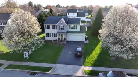 Aerial-shot-of-house-with-outdoor-library,-sidewalk-chalk,-and-blooming-trees-in-spring