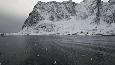 Seevögel-Auf-Dem-Meer-Im-Schönen-Dorf-Reine-Im-Winter-Auf-Den-Lofoten,-Norwegen