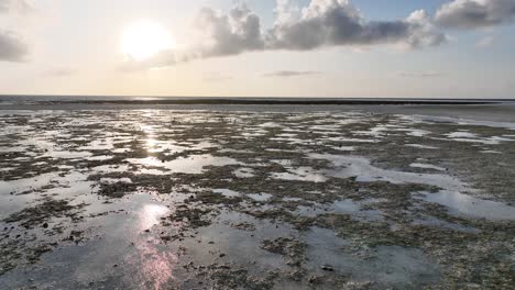 Tropischer-Strand-Bei-Sonnenaufgang-Bei-Ebbe-Mit-Freigelegten-Korallenriffen